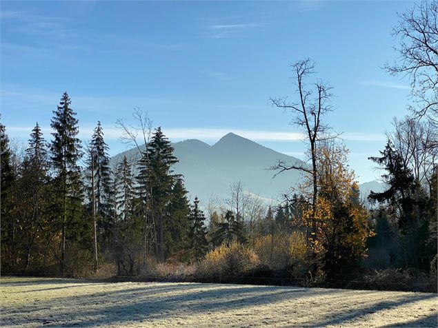 Vue du Môle depuis les sentier du Blacon des grands prés - CC4R