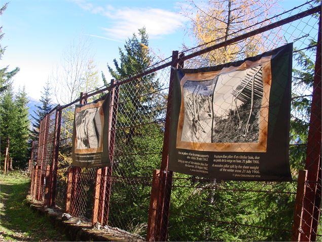 Sentier des paravalanches - ONF