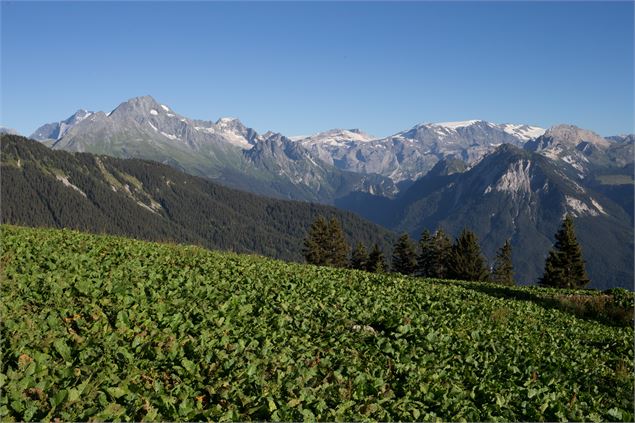 Sentier des Crêtes du Mont Jovet - Bozel - Geoffrey Vabre