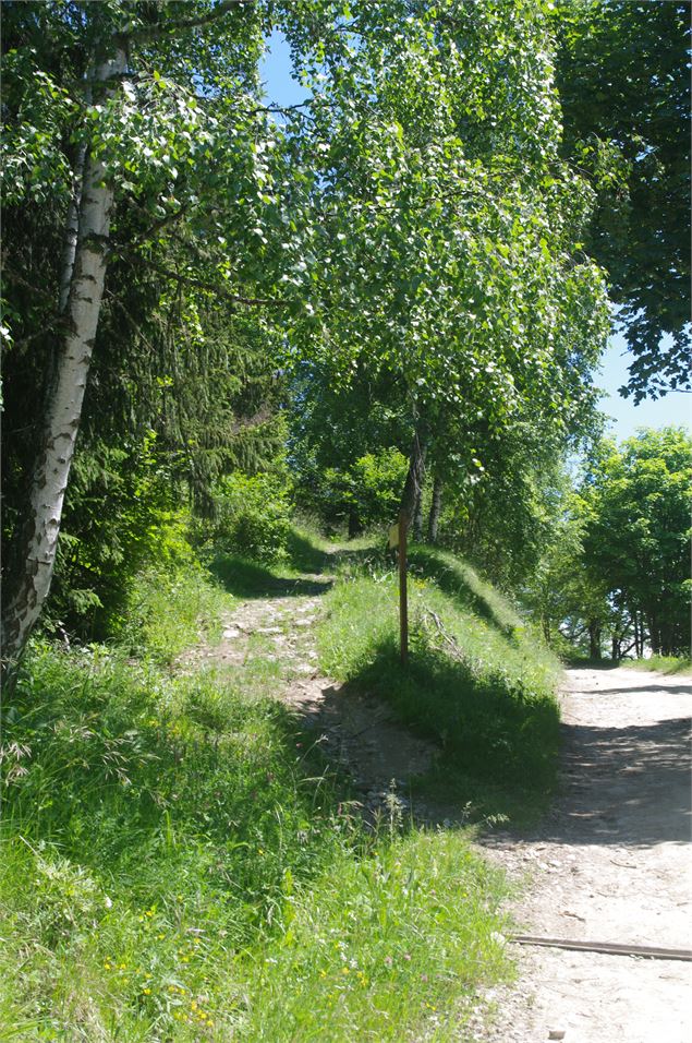 Sentier du Pré Benoit - Feissons sur Salins - Geoffrey Vabre