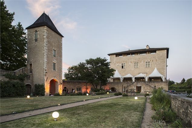 vue parc et château - Mme Goureau