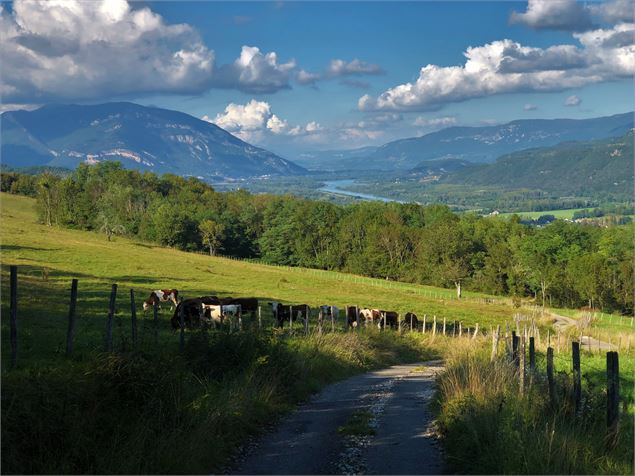 Vue sur le Rhône, la Chautagne et le Grand Colombier - © M.Ballet
