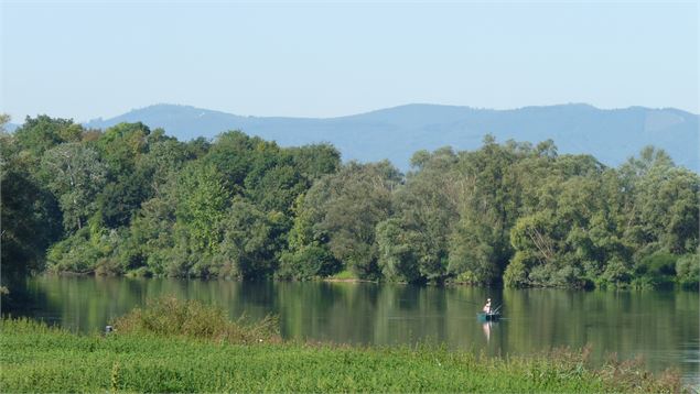 vue