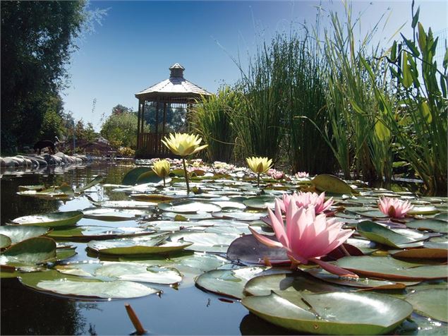 jardins aquatiques