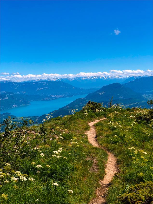 Vue sur le lac du Bourget depuis la Roche de Chanduraz - Maxime Ballet