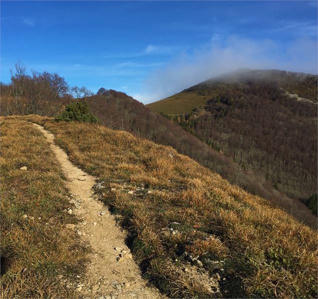 Vue depuis la Roche de Chanduraz - Maxime Ballet