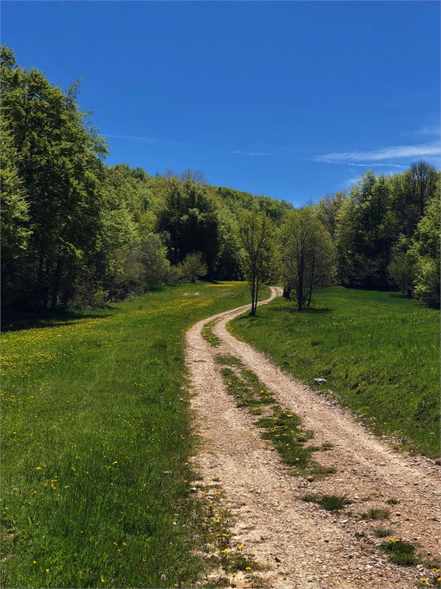 Chemin de randonnée du Plateau de Retord au départ des Plans d'Hotonnes - M.Ballet