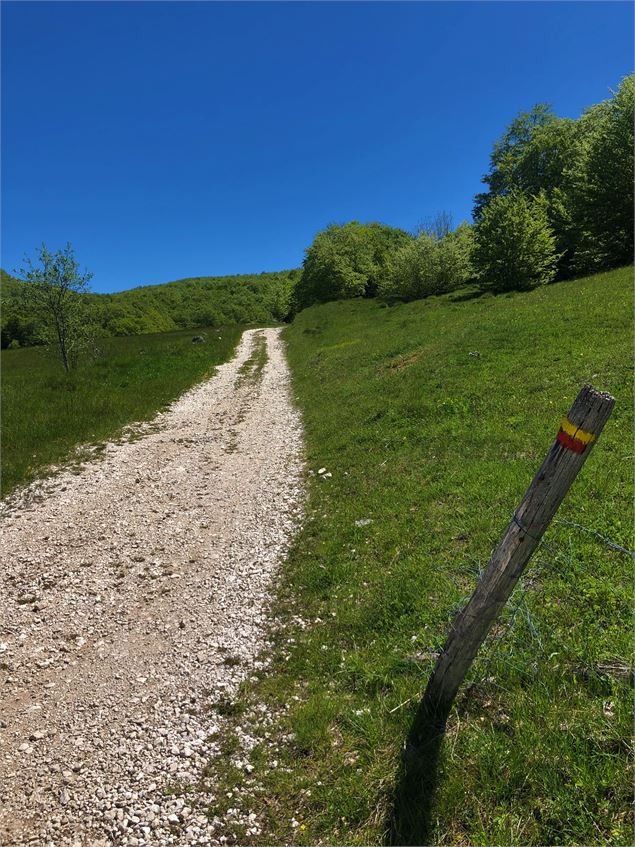 Chemin de randonnée du Plateau de Retord au départ des Plans d'Hotonnes - M.Ballet