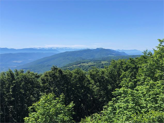Vue sur le Grand Colombier, la Chartreuse et le Massif des Belledone - M.Ballet