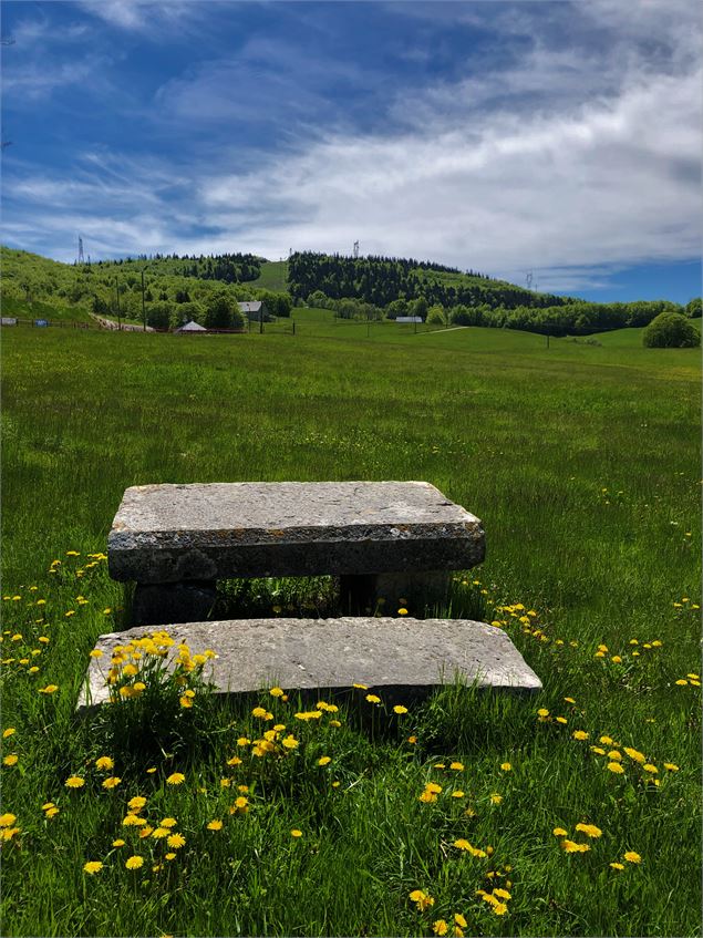 Table de pique-nique aux Plans d'Hotonnes - © Maxime Ballet