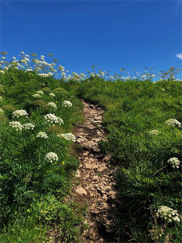 Sentier sur la Roche de Chanduraz - Maxime Ballet