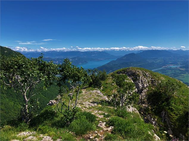 Sentier sur la Roche de Chanduraz - Maxime Ballet