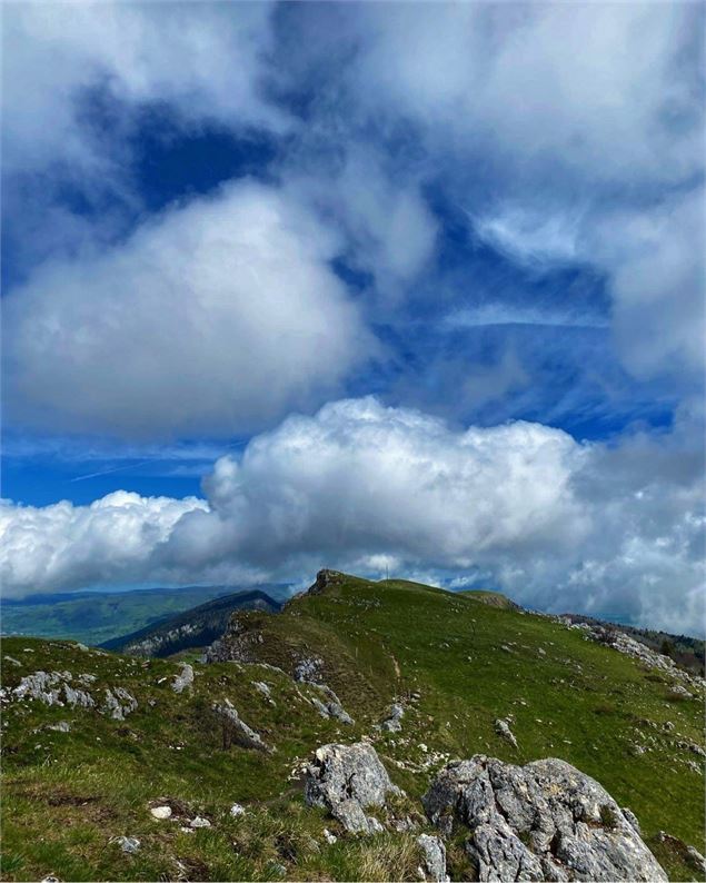 Crêtes du Grand Colombier - © Maxime Ballet