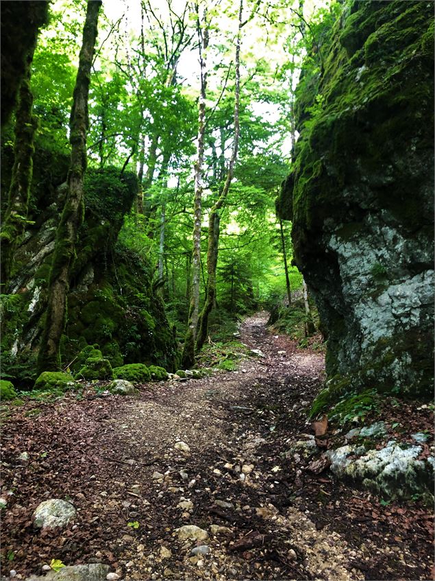 Sentier du ruisseau de Brançon - © D.Ballet