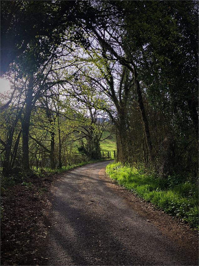 Passage en sous bois - © Rando Running Contrevoz