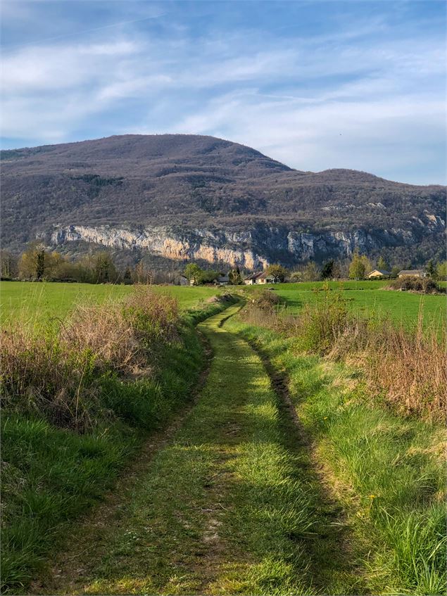 Retour vers Contrevoz - © Rando Running Contrevoz