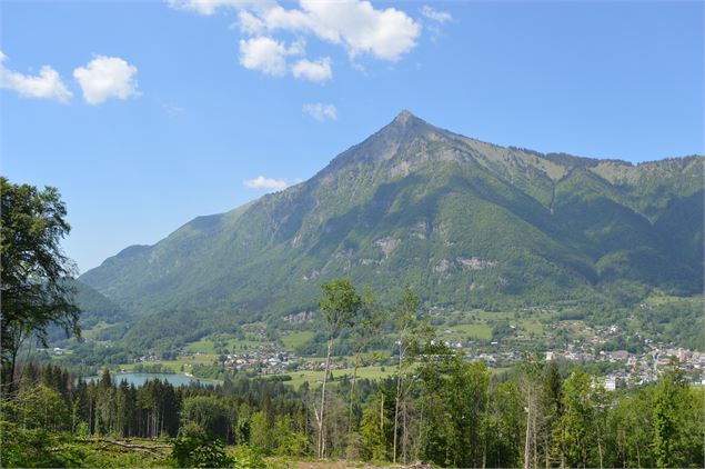 Vue sur la vallée depuis le chemin des Guers - CCMG
