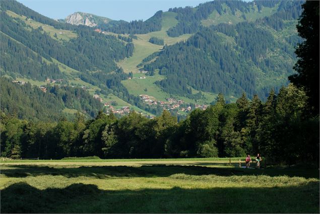 Chemin des Bords de Dranse - Patrick Brault