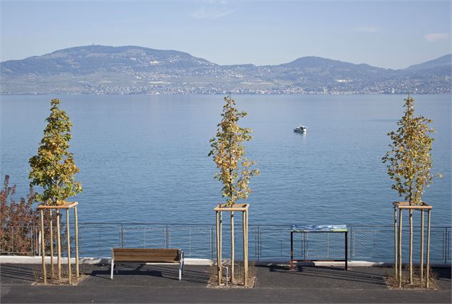 Terrasses des Voiles, de la Route et du Rail - Saint-Gingolph Promotion Évènements