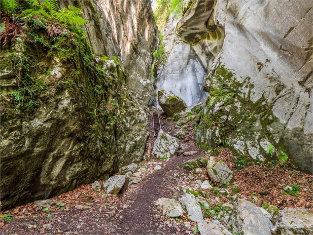 Gorges des Tines - Monica Dalmasso