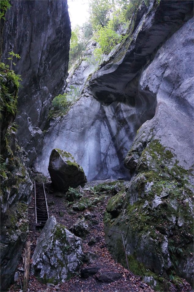 Balade des anciennes gorges - Monica Dalmasso