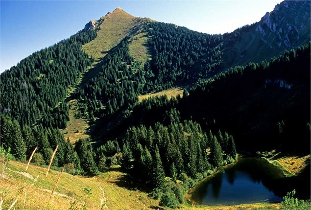 Le lac et le Pic de la Corne vus du Col de Crève Coeur - Yvan Tisseyre / OT Vallée d'Aulps