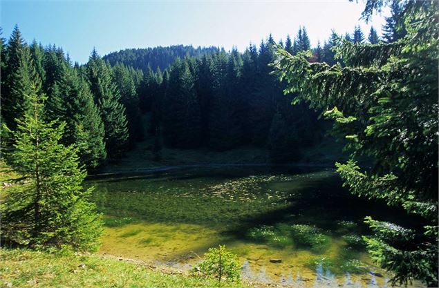 Le lac du Fouyet dans son écrin de verdure - Yvan Tisseyre/OT Vallée d'Aulps