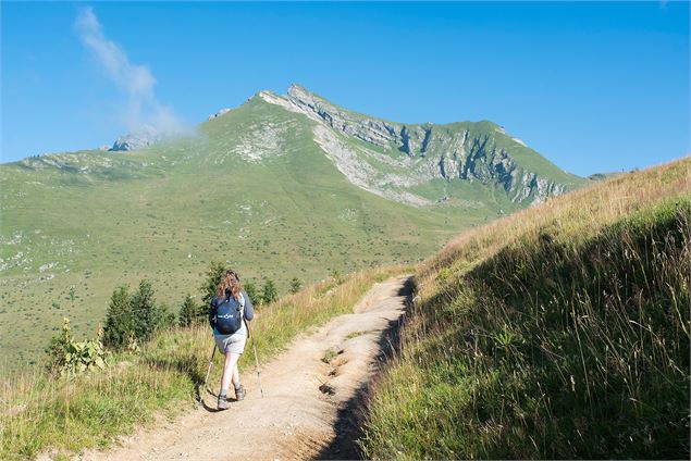 La montée avant la col de la Basse et la vue sur le Roc d'Enfer - Yvan Tisseyre / OT Vallée d'Aulps