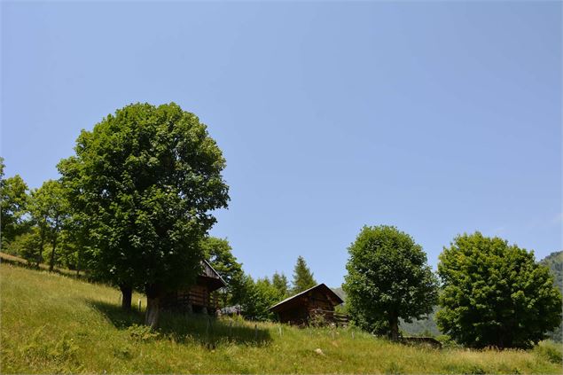 Tioulévé - OT Porte de Maurienne