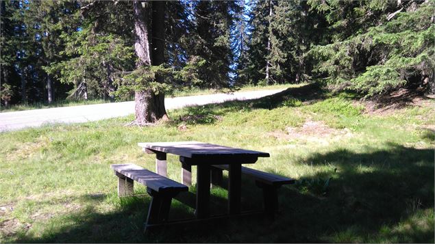 Aire de pique-nique de la forêt