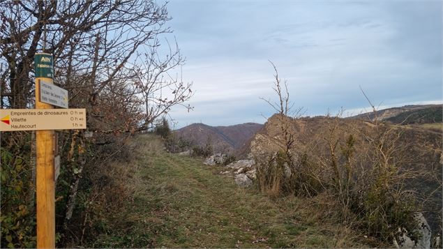 Les chemins des dinosaures de Villette - Balade géologique sur les falaises de Bérranger_Hautecourt-