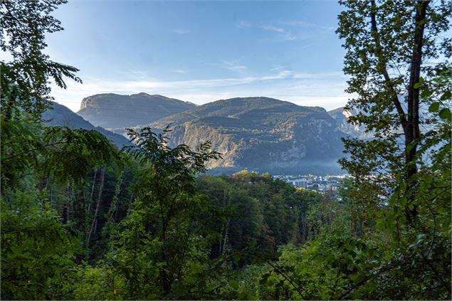 Massif du Bargy depuis la forêt de Châtillon-sur-Cluses - Haut-Giffre Tourisme