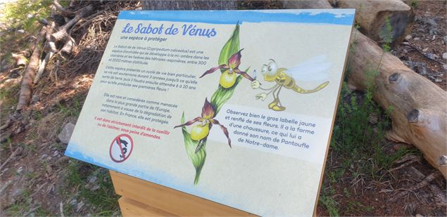 Panneaux explicatifs - CCVA