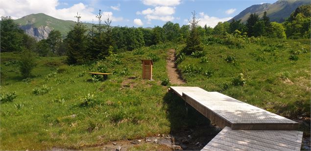 Petite passerelle en bois - CCVA