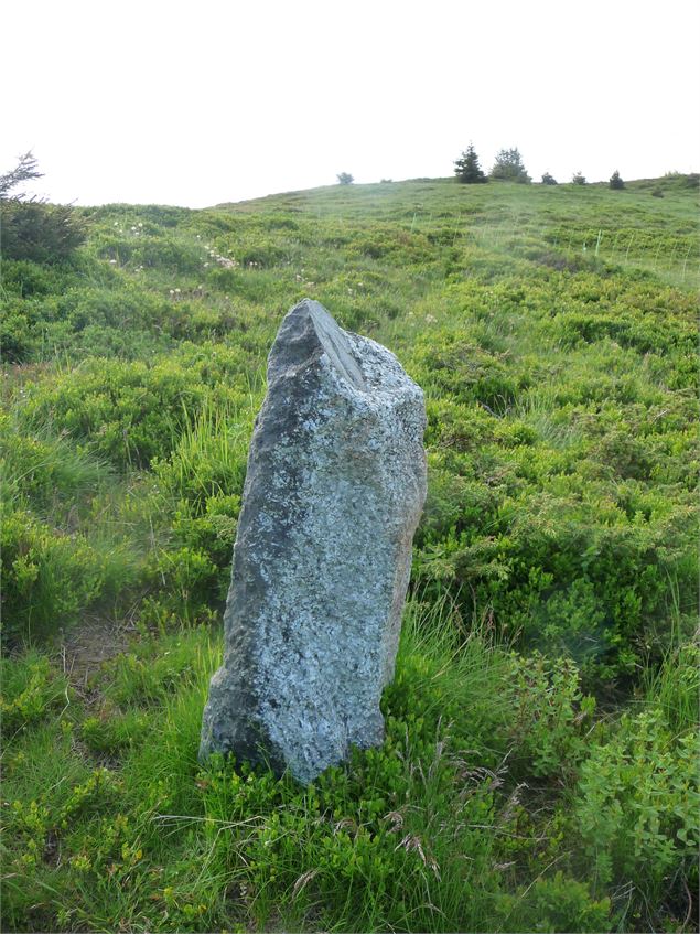 Borne située au col de l'Avenaz - R.Blondet