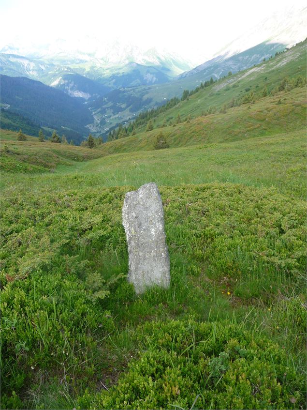 Borne située au col de l'Avenaz - R.Blondet
