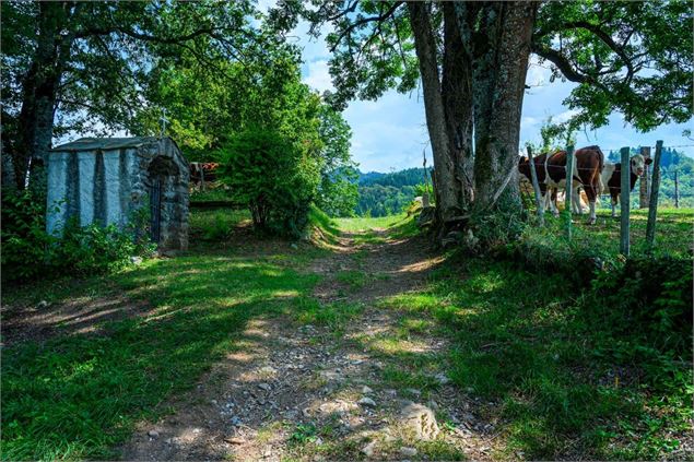 Châtillon sur Cluses - OT GMMG