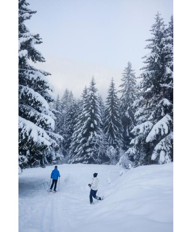 A travers les alpages - randonnée raquettes pays d'Evian - Pierre Thiriet