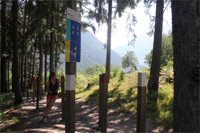 Parcours vita de Charançon