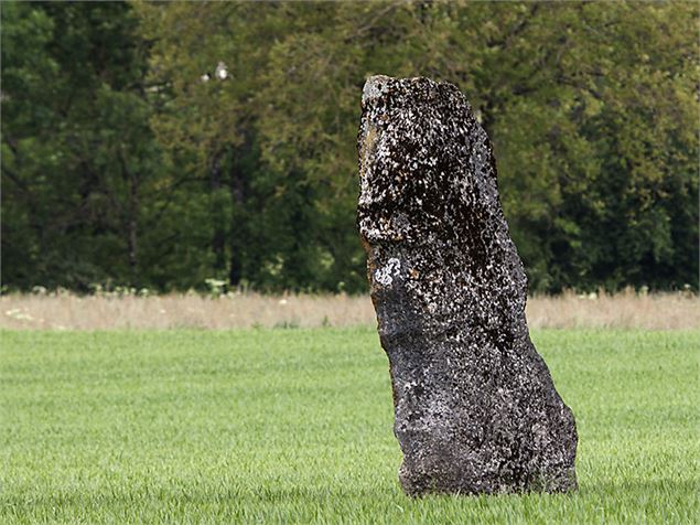 Menhir de Pierre Fiche - Simandre-sur-Suran - S.Calland