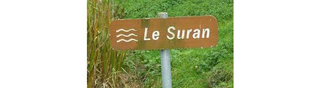 Suran - S.Calland