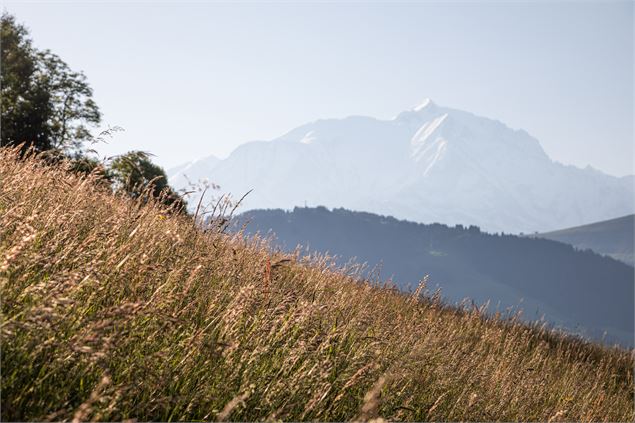 Le Jaillet - mairie_de_megeve