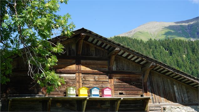 Chemin de Fanou - megeve_tourisme