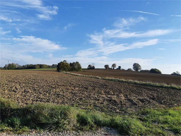 La prairie de Jayat