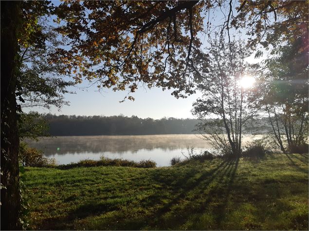 Viriat - Plan d'eau de Champataule - Bois de But - scalland