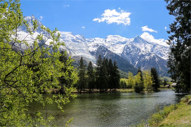 Lac en été - OT Vallée de Chamonix-Mont-Blanc