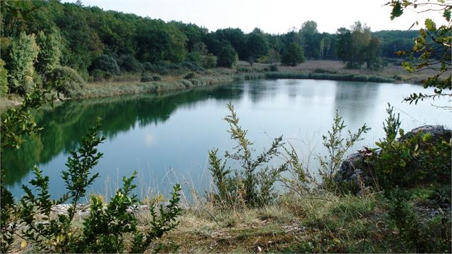 Lac de Chailloux Contrevoz - BBST