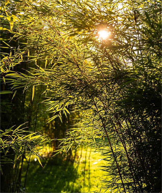 - Jardins de Lornay