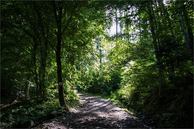 sentier - Office de Tourisme Thônes Coeur des Vallées