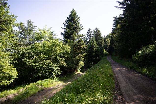 sentier - Office de Tourisme Thônes Coeur des Vallées